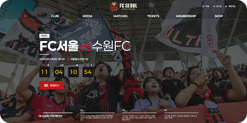 FC서울 프로젝트 썸네일